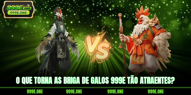 O Que Torna As Briga De Galos 999e Tão Atraentes?